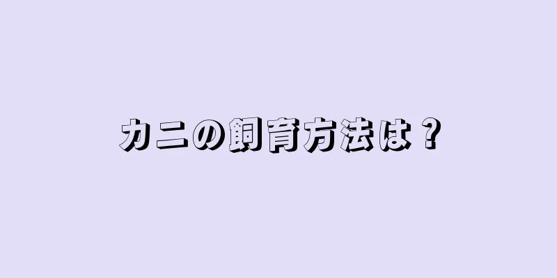 カニの飼育方法は？