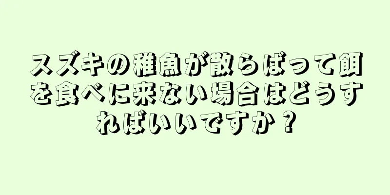 スズキの稚魚が散らばって餌を食べに来ない場合はどうすればいいですか？
