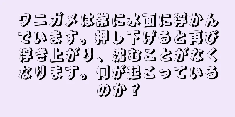 ワニガメは常に水面に浮かんでいます。押し下げると再び浮き上がり、沈むことがなくなります。何が起こっているのか？