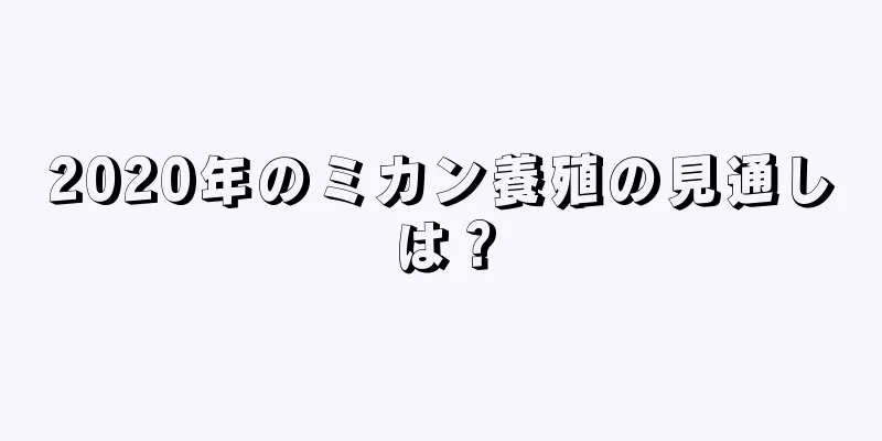 2020年のミカン養殖の見通しは？