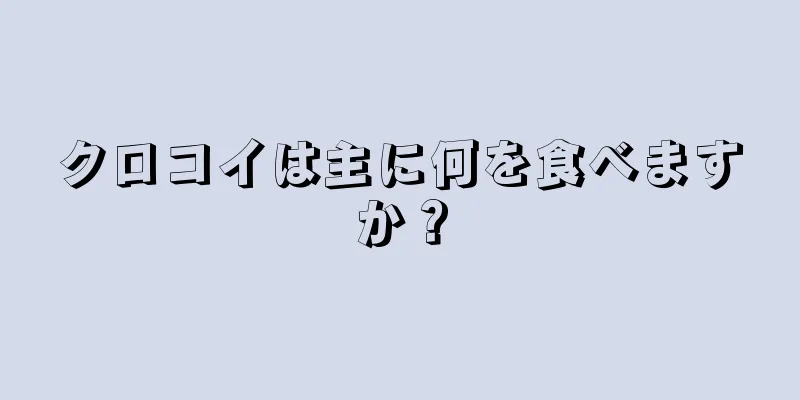 クロコイは主に何を食べますか？