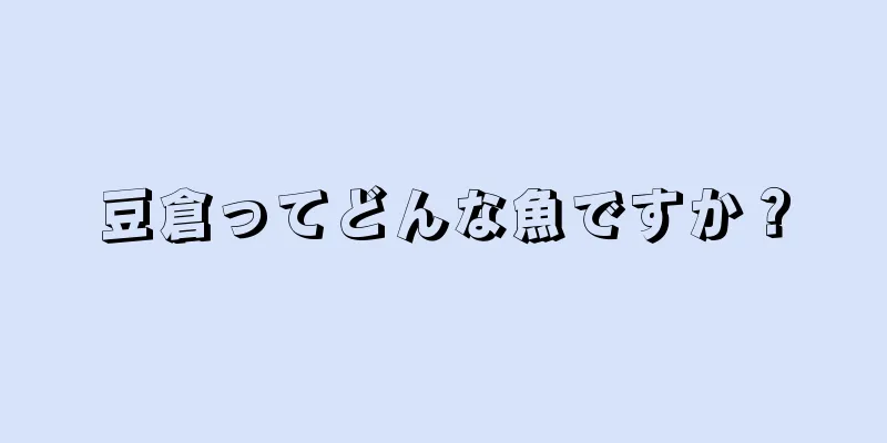 豆倉ってどんな魚ですか？