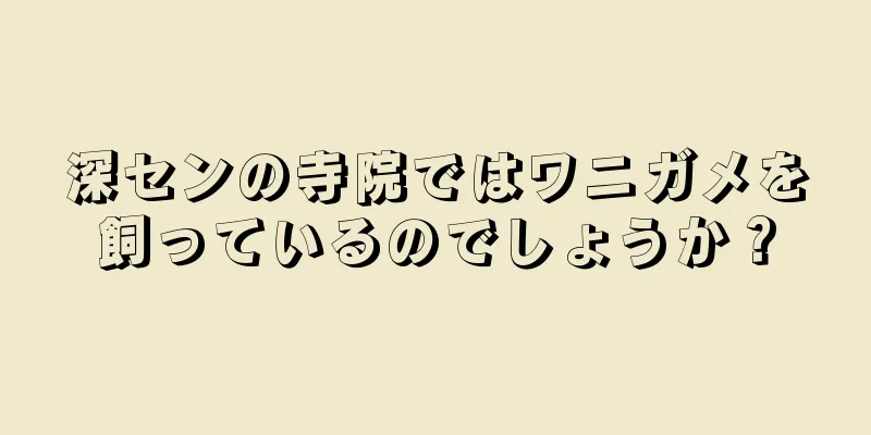 深センの寺院ではワニガメを飼っているのでしょうか？