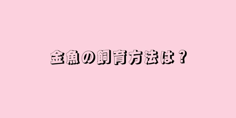 金魚の飼育方法は？
