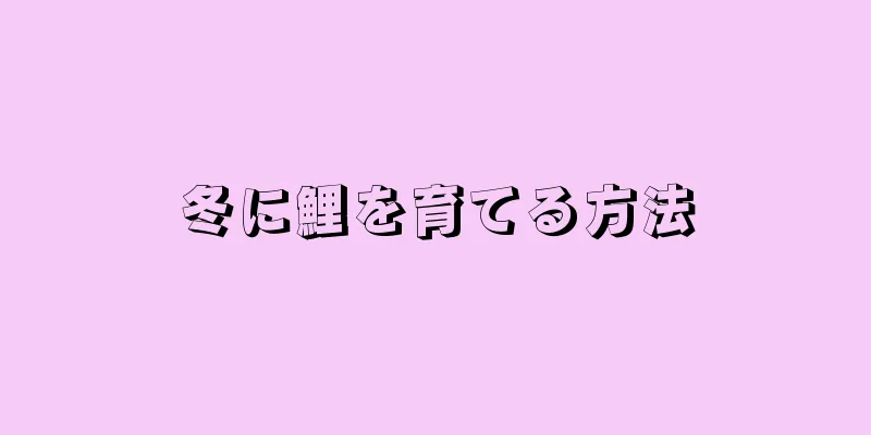 冬に鯉を育てる方法
