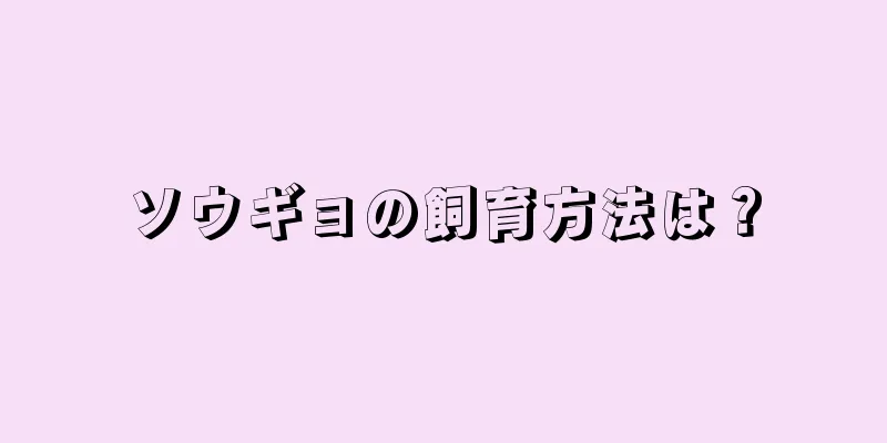 ソウギョの飼育方法は？