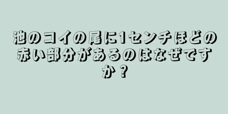 池のコイの尾に1センチほどの赤い部分があるのはなぜですか？