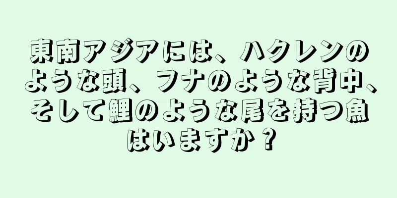 東南アジアには、ハクレンのような頭、フナのような背中、そして鯉のような尾を持つ魚はいますか？