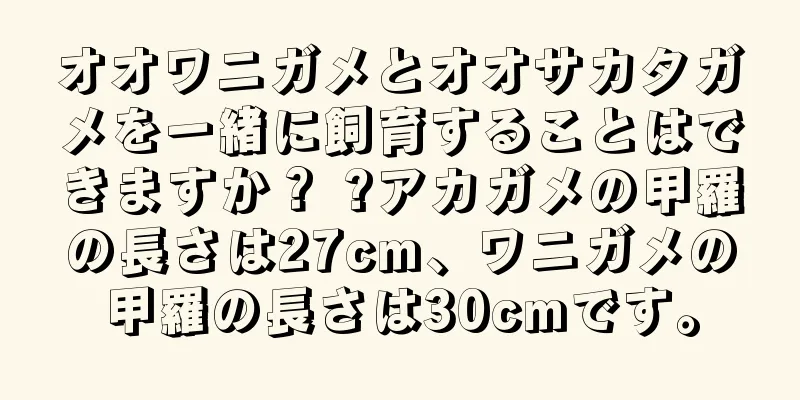オオワニガメとオオサカタガメを一緒に飼育することはできますか？ ?アカガメの甲羅の長さは27cm、ワニガメの甲羅の長さは30cmです。
