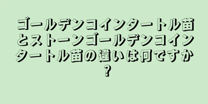 ゴールデンコインタートル苗とストーンゴールデンコインタートル苗の違いは何ですか？