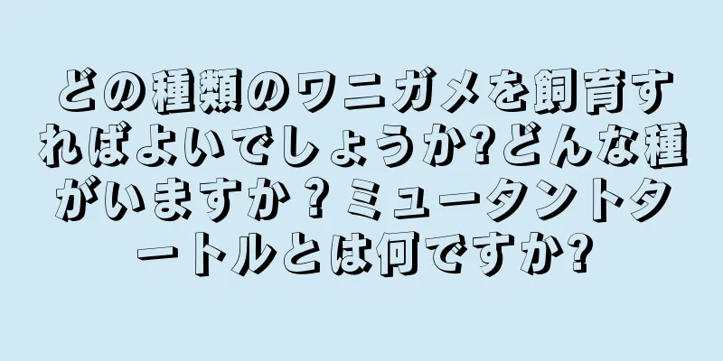 どの種類のワニガメを飼育すればよいでしょうか?どんな種がいますか？ミュータントタートルとは何ですか?