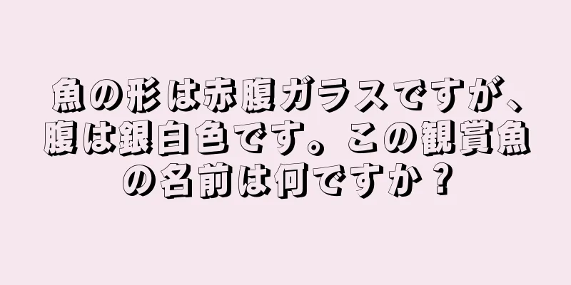 魚の形は赤腹ガラスですが、腹は銀白色です。この観賞魚の名前は何ですか？
