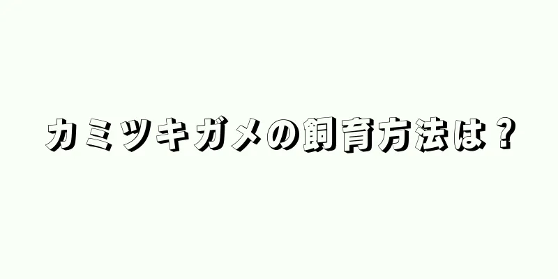 カミツキガメの飼育方法は？