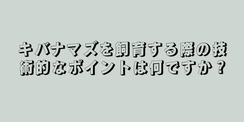 キバナマズを飼育する際の技術的なポイントは何ですか？