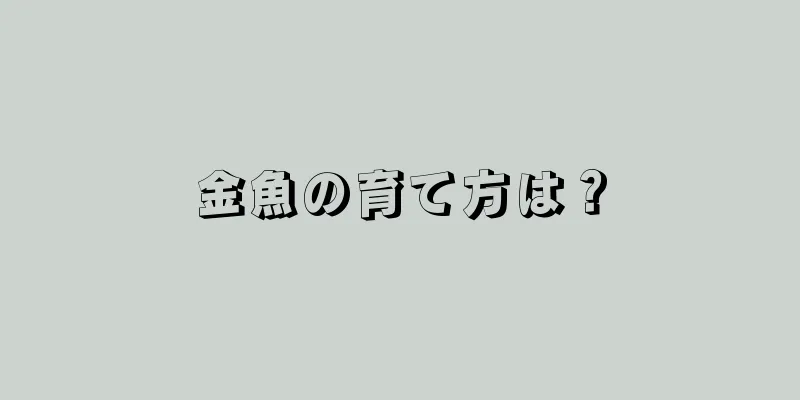 金魚の育て方は？