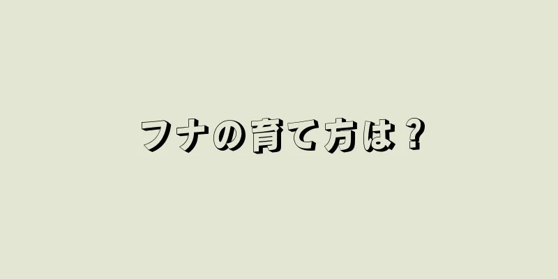 フナの育て方は？