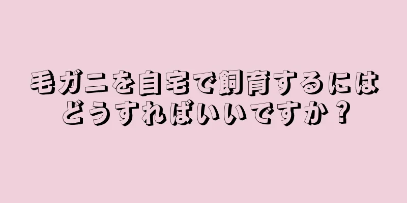 毛ガニを自宅で飼育するにはどうすればいいですか？