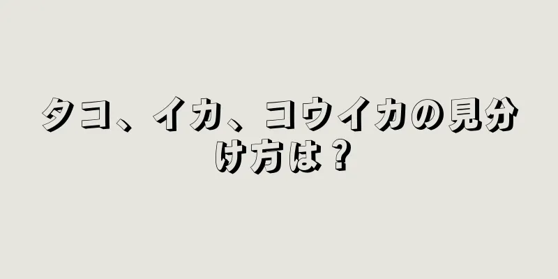 タコ、イカ、コウイカの見分け方は？