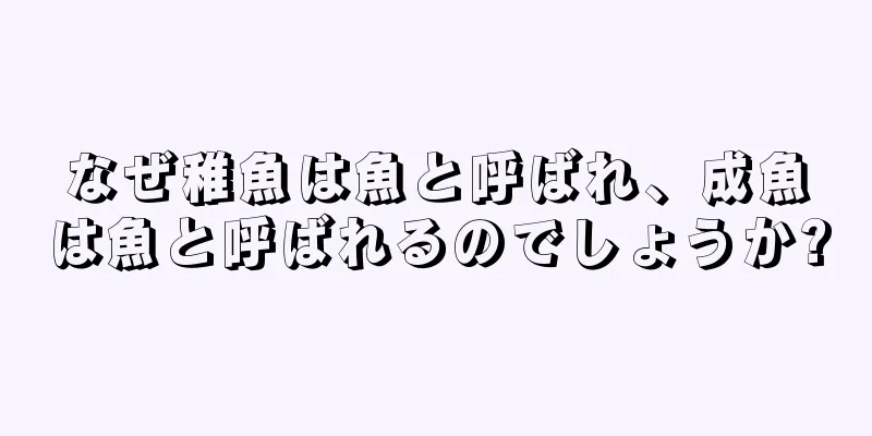 なぜ稚魚は魚と呼ばれ、成魚は魚と呼ばれるのでしょうか?