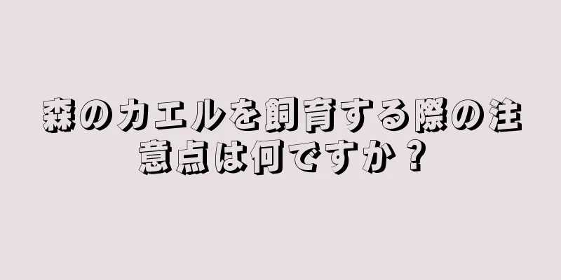 森のカエルを飼育する際の注意点は何ですか？