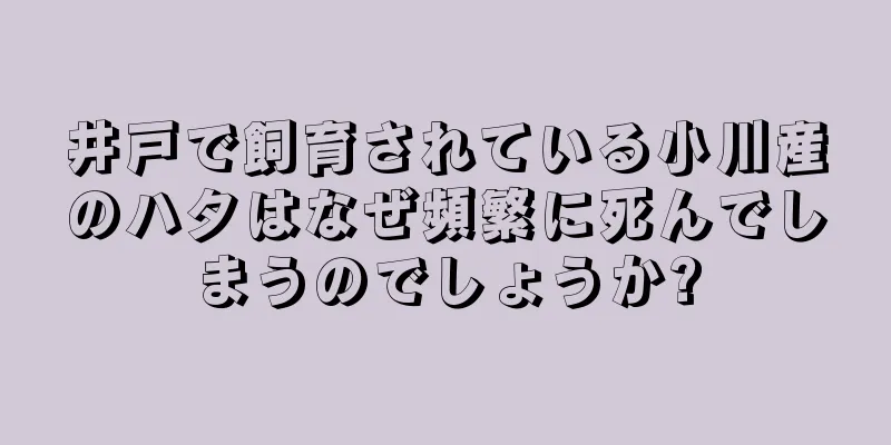 井戸で飼育されている小川産のハタはなぜ頻繁に死んでしまうのでしょうか?