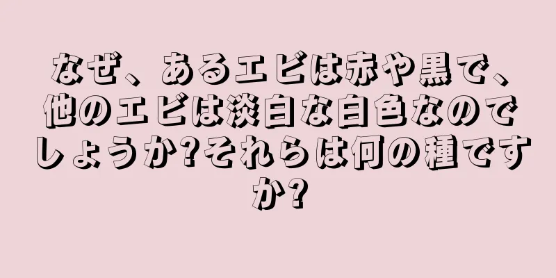 なぜ、あるエビは赤や黒で、他のエビは淡白な白色なのでしょうか?それらは何の種ですか?