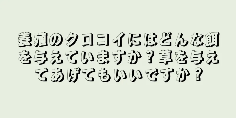 養殖のクロコイにはどんな餌を与えていますか？草を与えてあげてもいいですか？