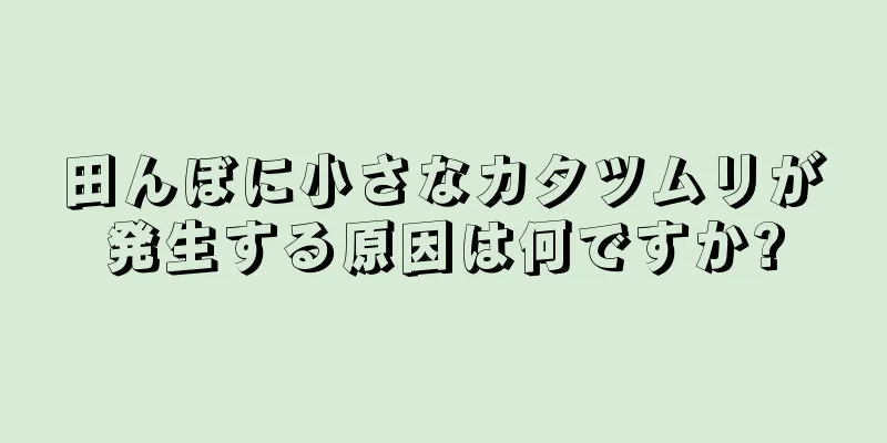 田んぼに小さなカタツムリが発生する原因は何ですか?