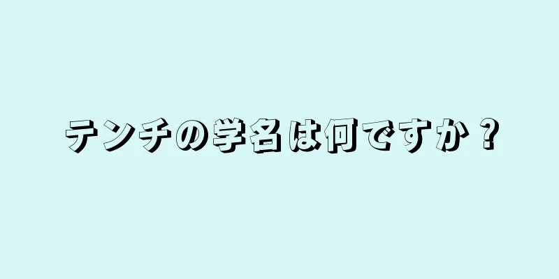 テンチの学名は何ですか？