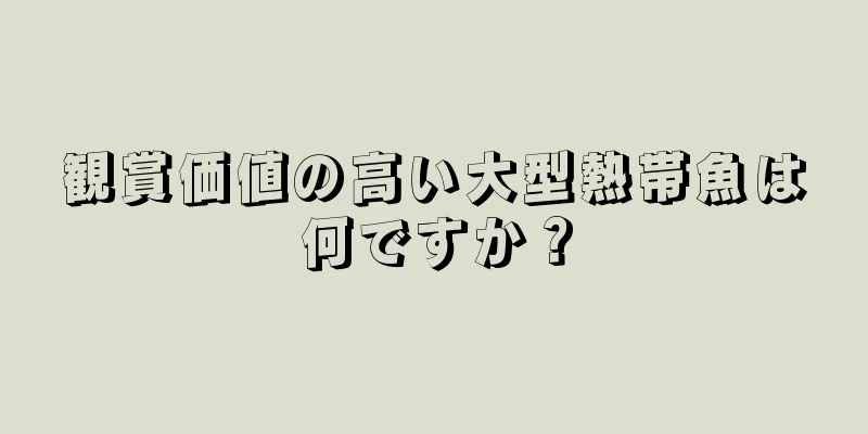 観賞価値の高い大型熱帯魚は何ですか？