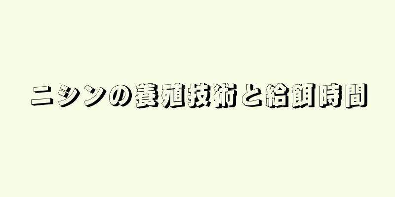ニシンの養殖技術と給餌時間