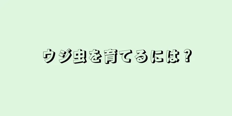 ウジ虫を育てるには？