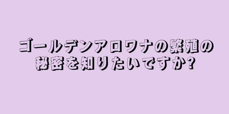ゴールデンアロワナの繁殖の秘密を知りたいですか?
