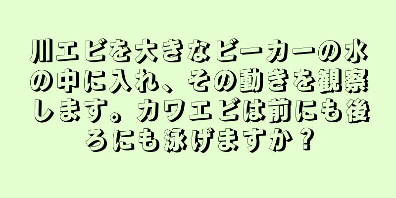 川エビを大きなビーカーの水の中に入れ、その動きを観察します。カワエビは前にも後ろにも泳げますか？