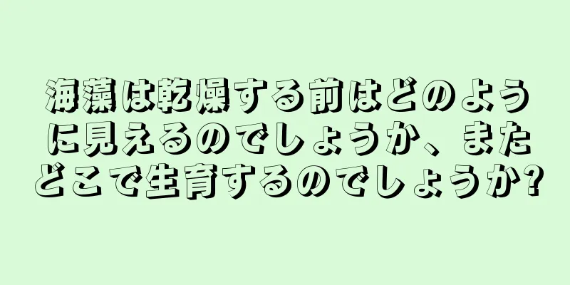 海藻は乾燥する前はどのように見えるのでしょうか、またどこで生育するのでしょうか?