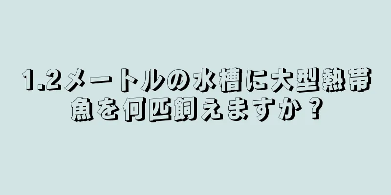 1.2メートルの水槽に大型熱帯魚を何匹飼えますか？