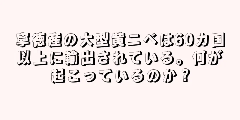 寧徳産の大型黄ニベは60カ国以上に輸出されている。何が起こっているのか？