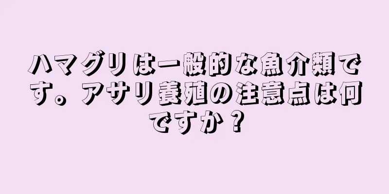 ハマグリは一般的な魚介類です。アサリ養殖の注意点は何ですか？