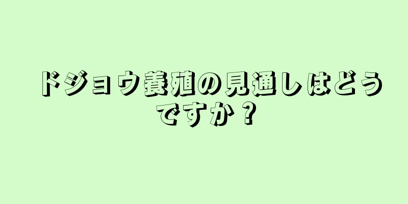 ドジョウ養殖の見通しはどうですか？