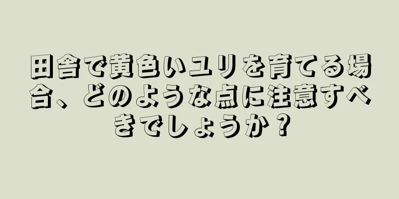 田舎で黄色いユリを育てる場合、どのような点に注意すべきでしょうか？
