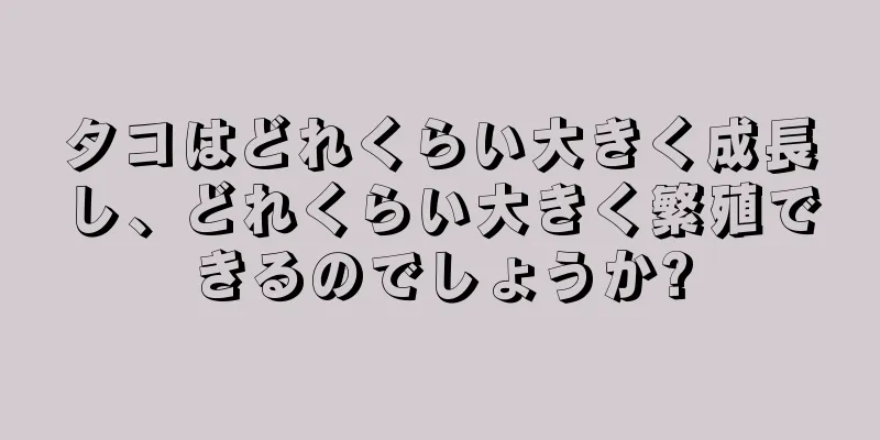タコはどれくらい大きく成長し、どれくらい大きく繁殖できるのでしょうか?