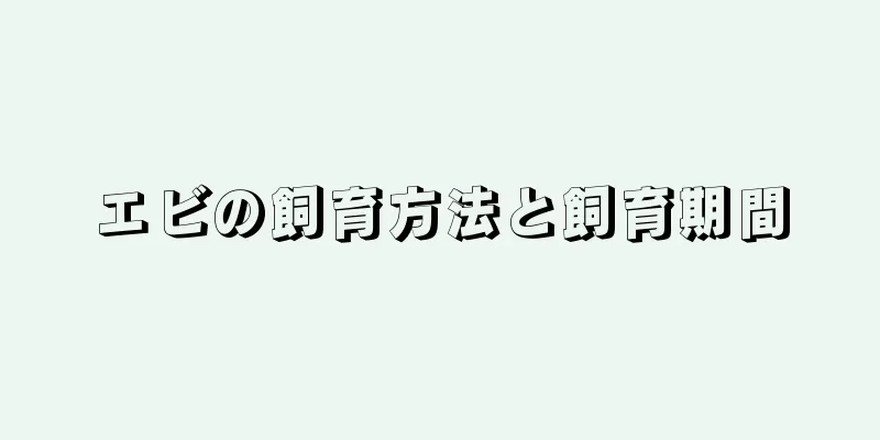 エビの飼育方法と飼育期間