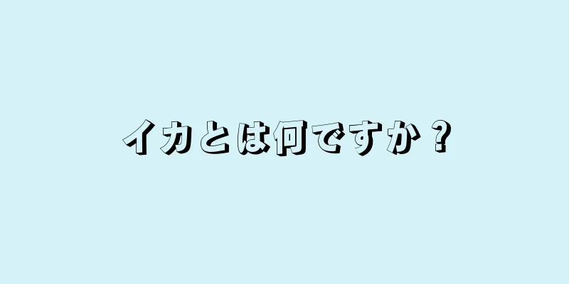 イカとは何ですか？