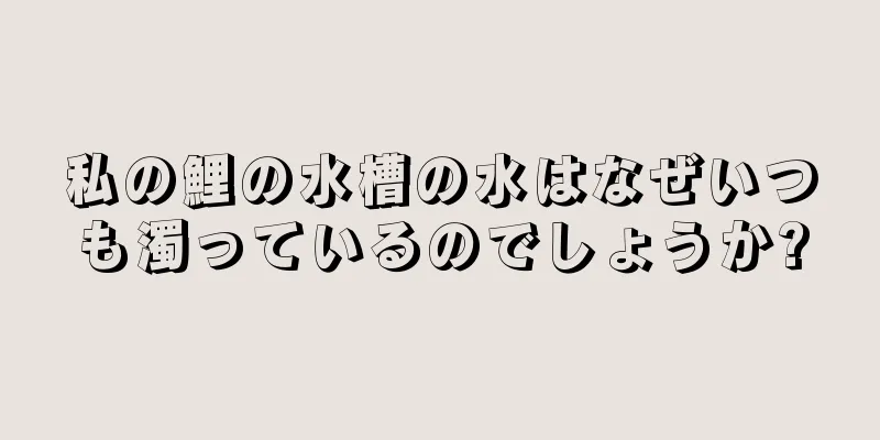 私の鯉の水槽の水はなぜいつも濁っているのでしょうか?