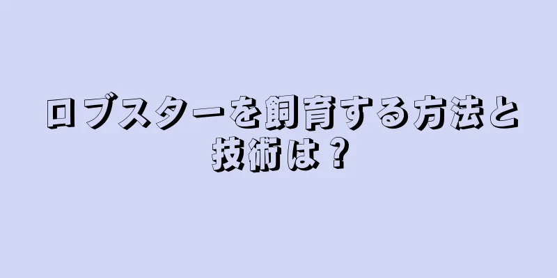 ロブスターを飼育する方法と技術は？