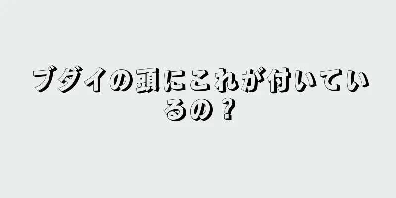 ブダイの頭にこれが付いているの？