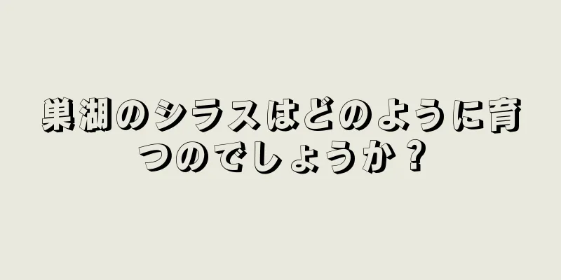 巣湖のシラスはどのように育つのでしょうか？