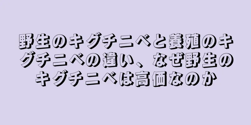 野生のキグチニベと養殖のキグチニベの違い、なぜ野生のキグチニベは高価なのか