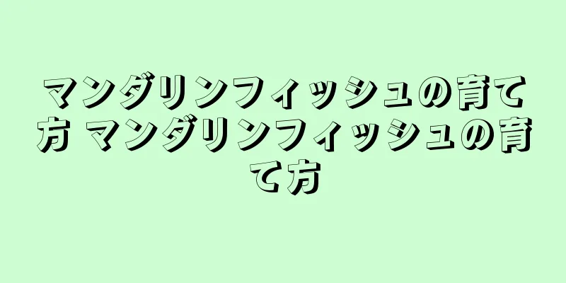 マンダリンフィッシュの育て方 マンダリンフィッシュの育て方