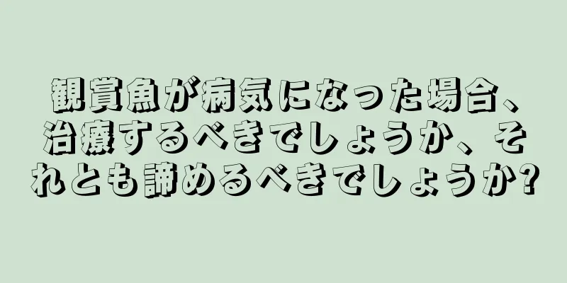 観賞魚が病気になった場合、治療するべきでしょうか、それとも諦めるべきでしょうか?
